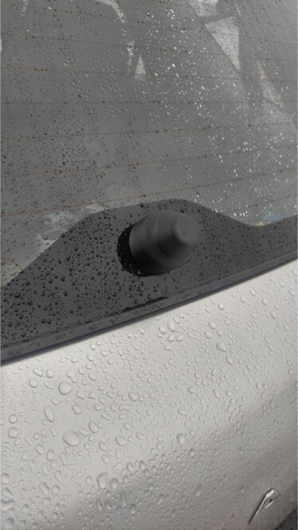 Subaru Impreza Wagon Wiper Stud Cover (2002-2007)